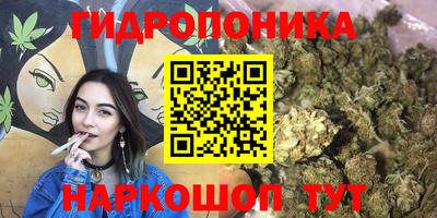 стафф Абакан