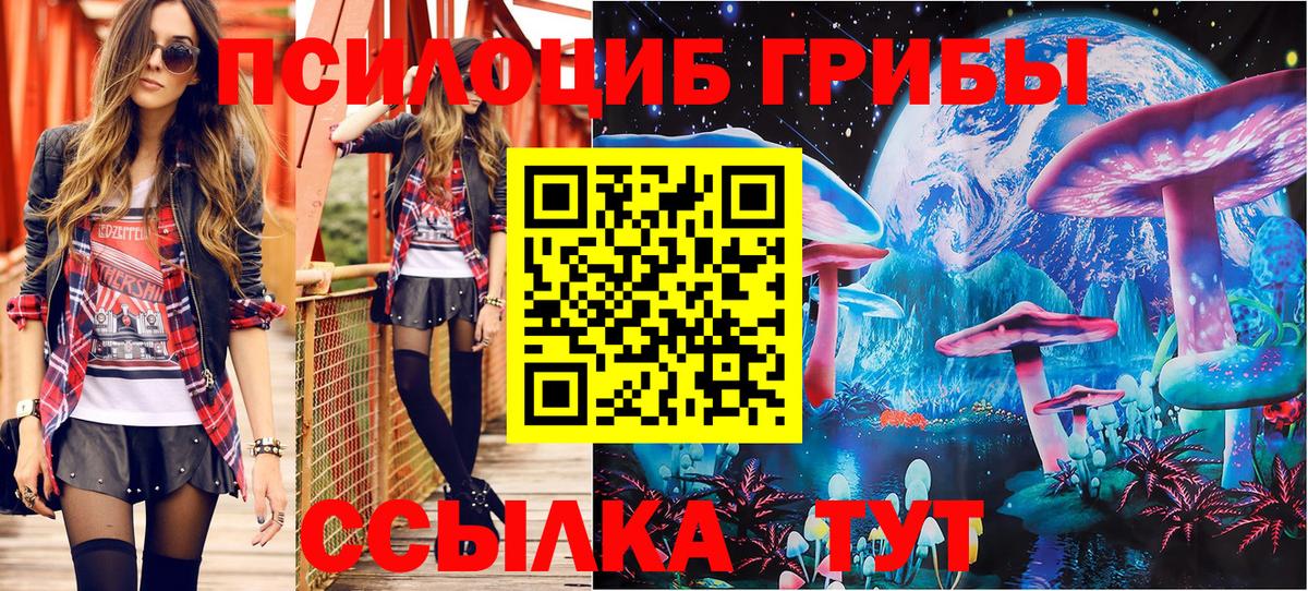 Галлюциногенные грибы Psilocybine cubensis  Псилоцибиновые грибы MAGIC MUSHROOMS  Батайск  Вход с VPN 